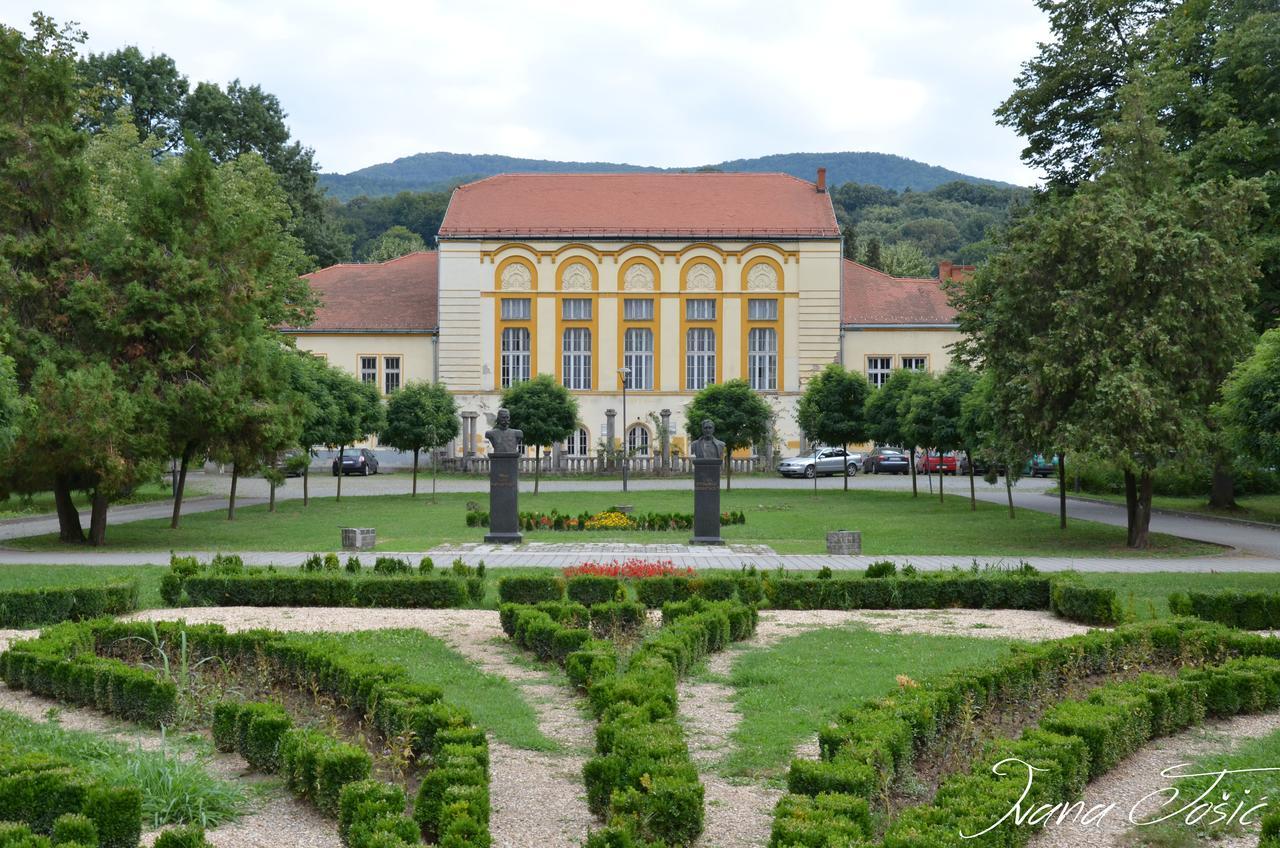 Ferienwohnung Apartman Ksenija Banja Koviljača Exterior foto